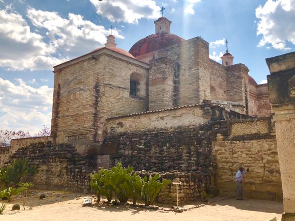 メキシコ・メキシコシティ「憧れのオアハカへ！」の写真：ミトラ遺跡

サボテン🌵がいっぱい！