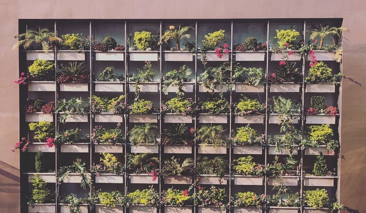 メキシコシティのショッピングモール

メキシコ人のファッションセンスはとも...