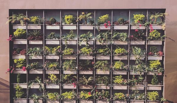 メキシコ・メキシコシティ「憧れのオアハカへ！」の写真：メキシコシティのショッピングモール

メ...