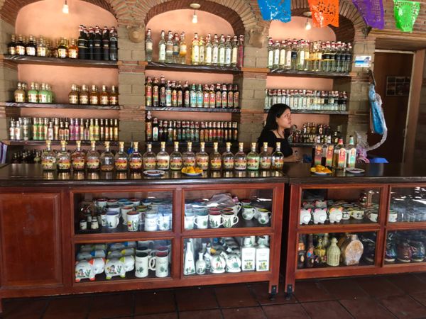 メキシコ・メキシコシティ「憧れのオアハカへ！」の写真：メスカル工場では酔っ払ってしまいそうにな...