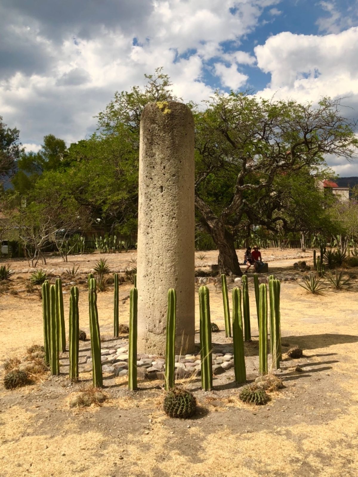 ミトラ遺跡の写真あれこれ

ガイドさんの説明もう全然覚えてないなぁ😅