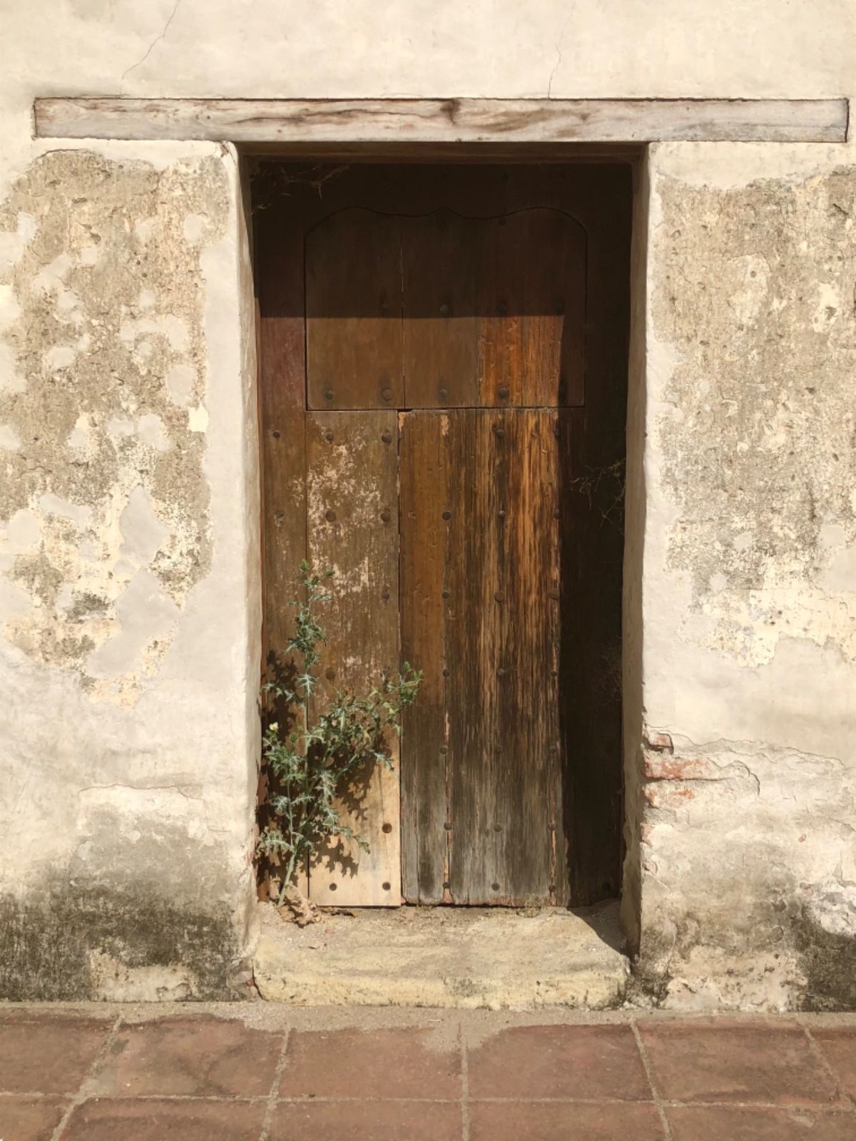 ミトラ遺跡のこと全然勉強せずに行ったから
どの建物が何なのか全然わからない…