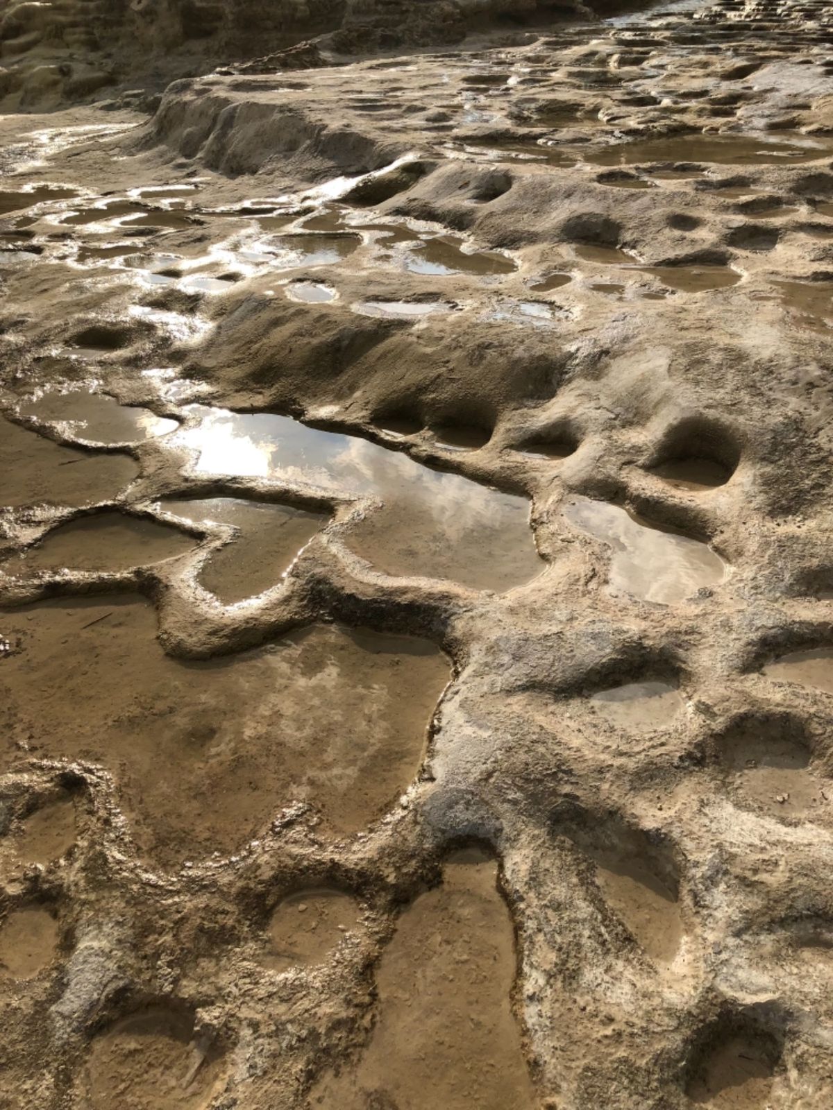 イエルベ・エル・アグア

後ろに見える滝のようなものは実は岩
高いミネラル...