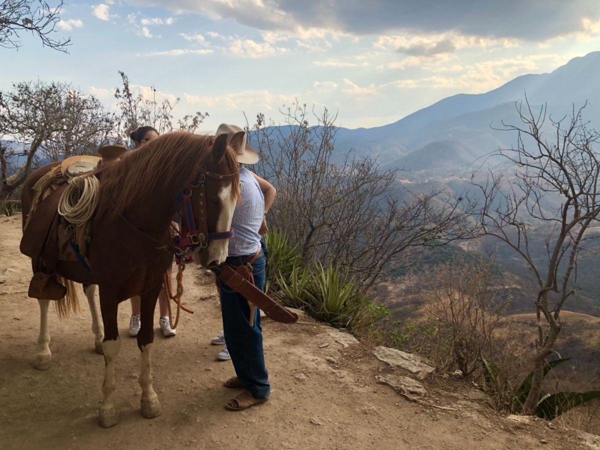 イエルベ・エル・アグア

岩の侵食模様が面白い
天然プールは温泉のような深...