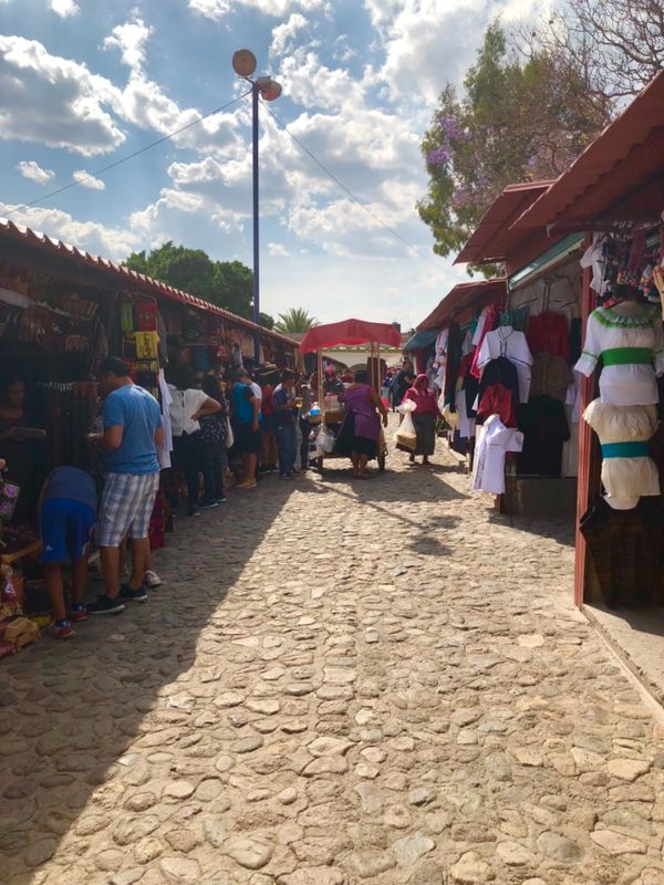 メキシコ・メキシコシティ「憧れのオアハカへ！」の写真：ミトラの村？の様子