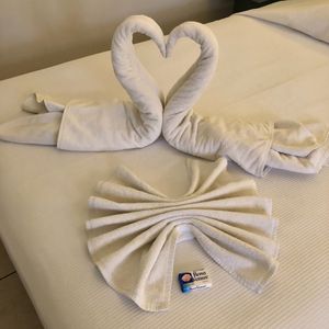 オアハカではAirbnbを利用したけど
ロケーションが良くて部屋も広くて綺...