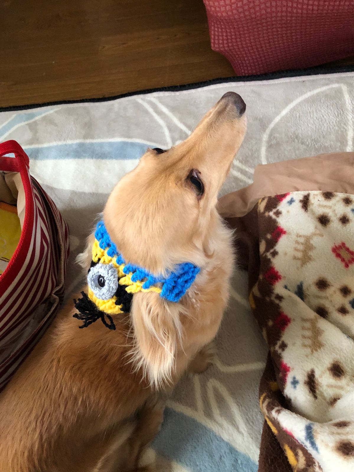 メキシコシティのアルテサナル・メヒカーノ市場 Mercado Artesa...