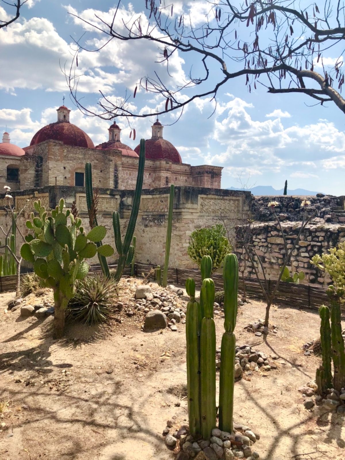ミトラ遺跡

サボテン🌵がいっぱい！