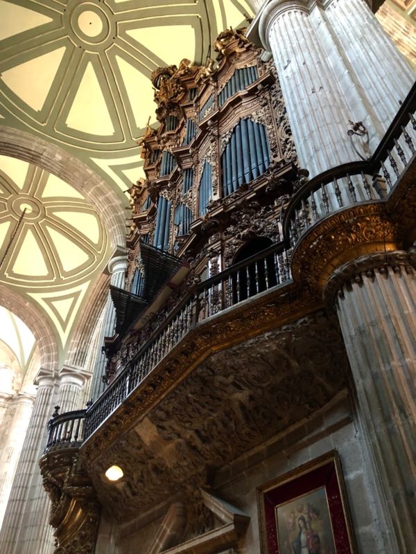 メキシコ・メキシコシティ「憧れのオアハカへ！」の写真：メトロポリタン大聖堂

さすがメキシコシ...