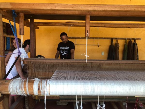 メキシコ・メキシコシティ「憧れのオアハカへ！」の写真：1番楽しみにしていたテオティトラン・デル...