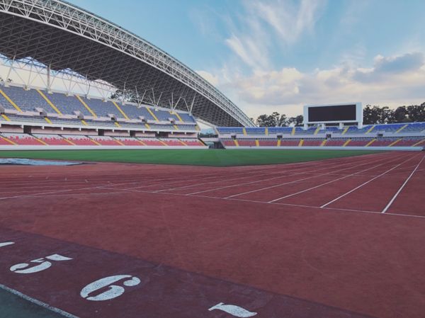 コスタリカ・カルタゴ「動物昆虫自然の宝庫コスタリカ！！」の写真：エスタディオ・ナシオナル・デ・コスタリカ...