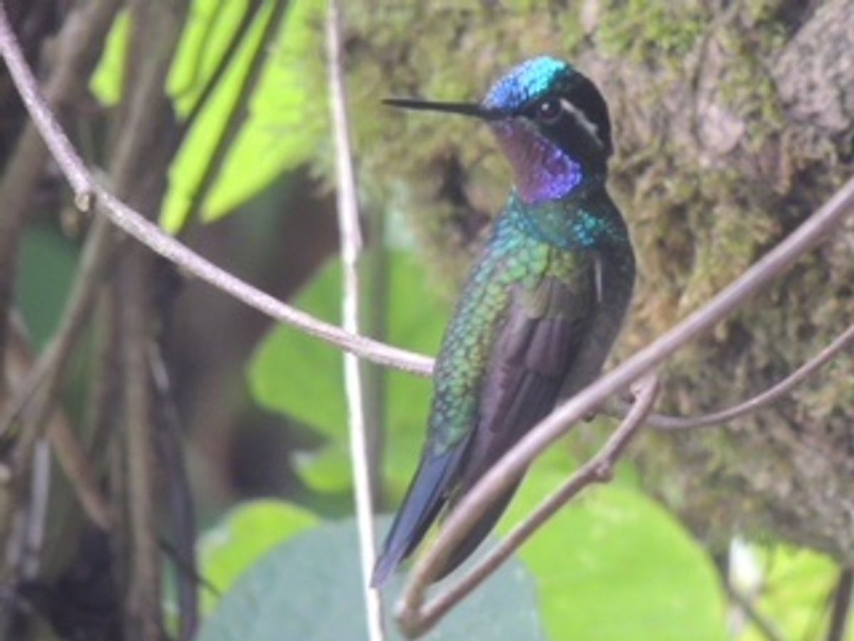 これらの写真も
1DAYツアー中に仲良くなった
どっかの国のカメラ好きのお...