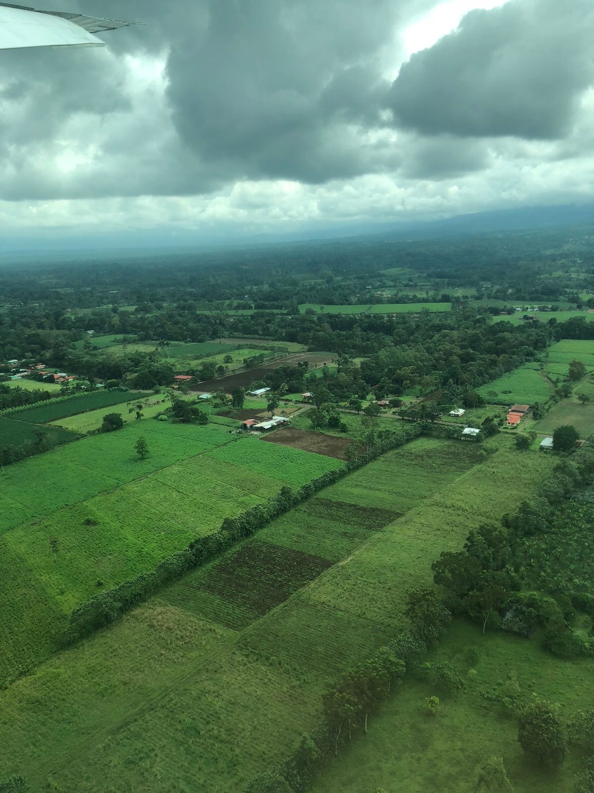 コルコバードでの着陸の瞬間

大自然しかない！！
空港っていうか、ただの空...