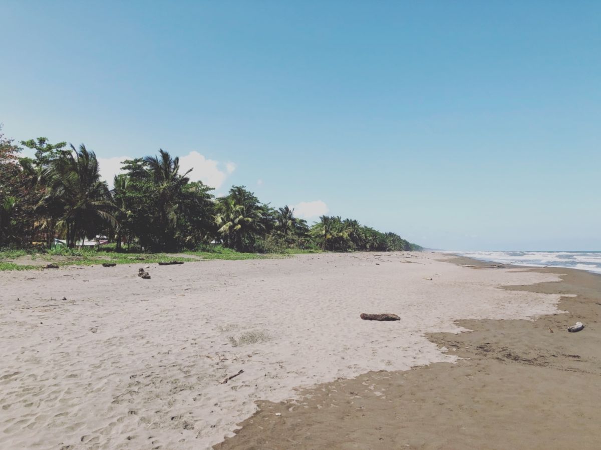 トルトゥゲロ国立公園

この国立公園はウミガメの産卵が見れる場所として有名...