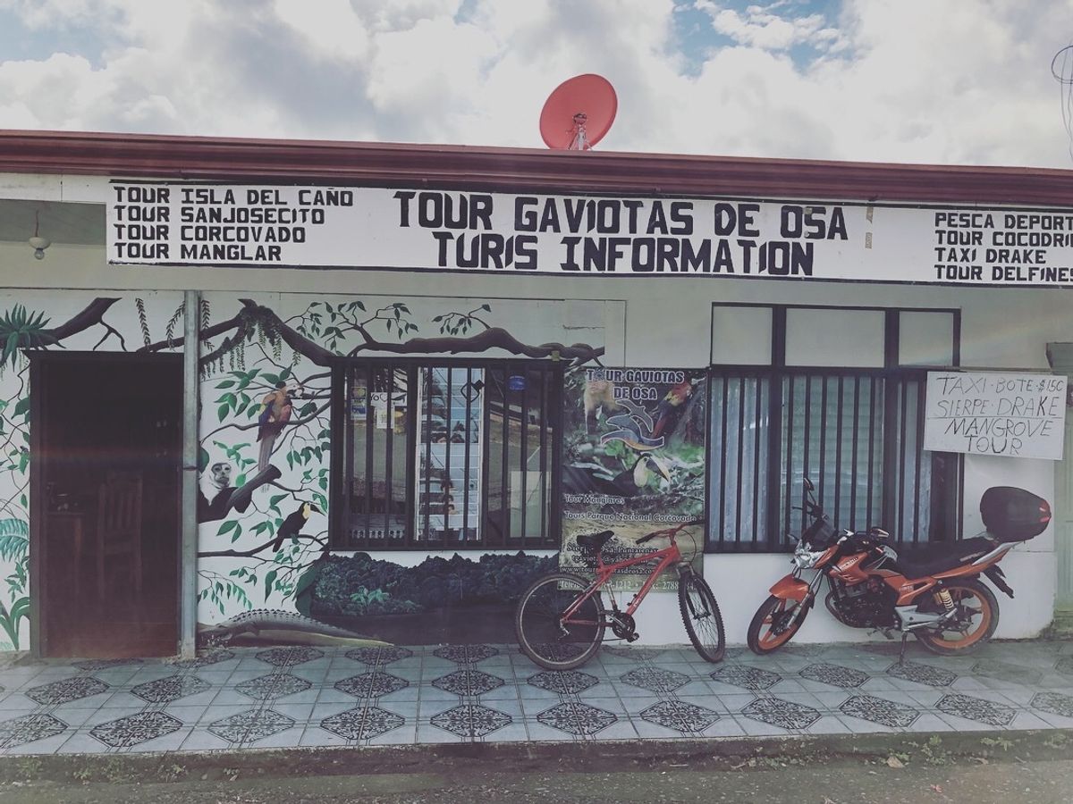 オサ　マングローブツアー

ここで飲んだココナッツジュース
甘くて濃厚で
...