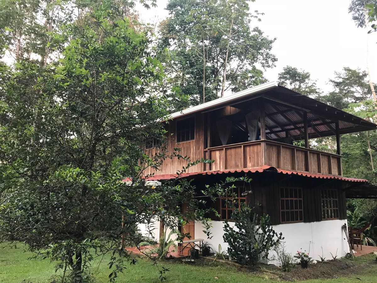 Corcovado Backpackers

宿の庭にトゥーカンが！！🤩
...