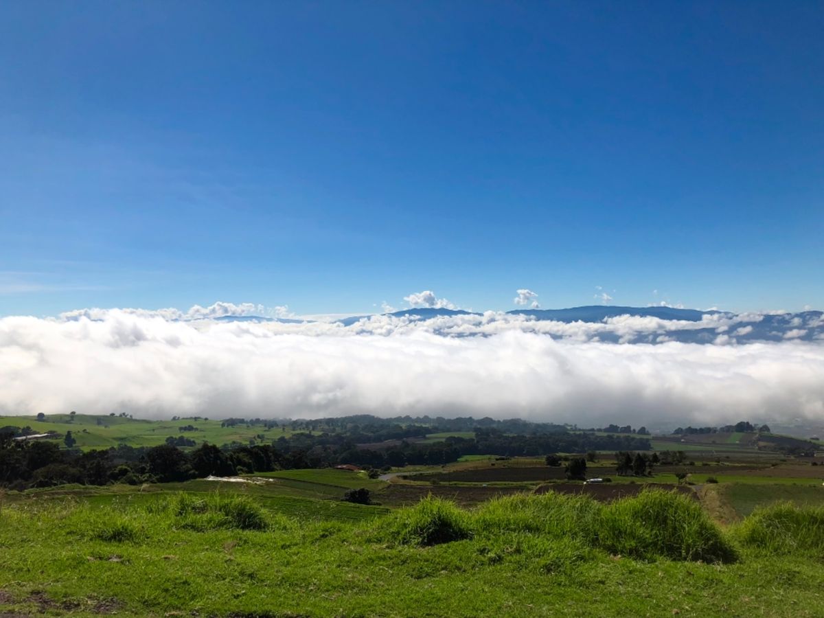 イラス山

山頂に着く前に雲海を通るんだけど
絶景だぁ〜😍