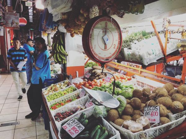 コスタリカ・カルタゴ「動物昆虫自然の宝庫コスタリカ！！」の写真：セントラル・デ・サン・ホセ市場

海外の...