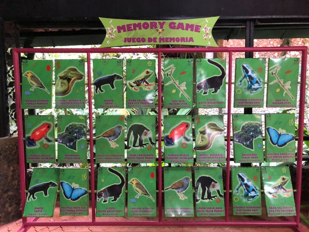 ブラウリオ・カリージョ国立公園

1枚目の植物は裏側からみると
赤の部分が...