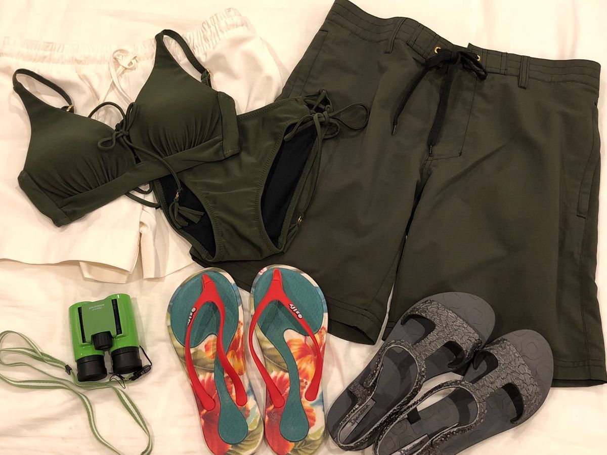 コスタリカはガイドブックも少なくネット情報も少なく、ジャングルに行くのも初...