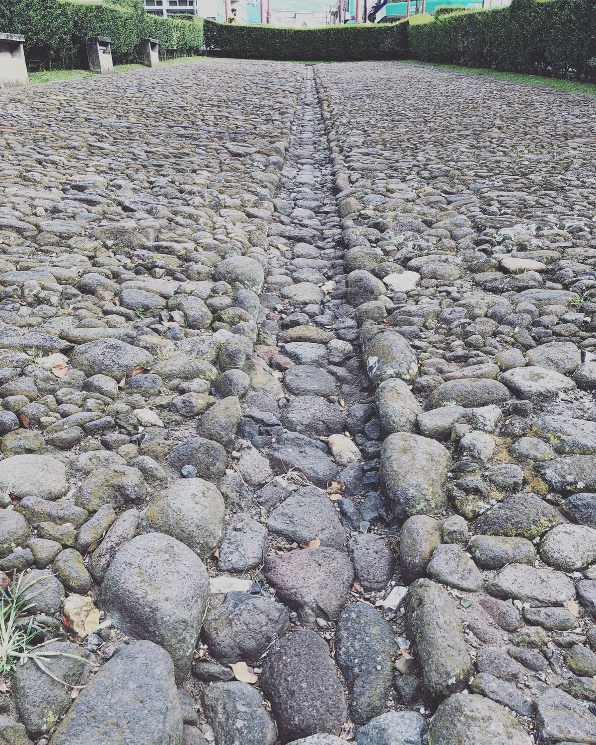 Ruinas del Templo Santiago Apóstol

カ...