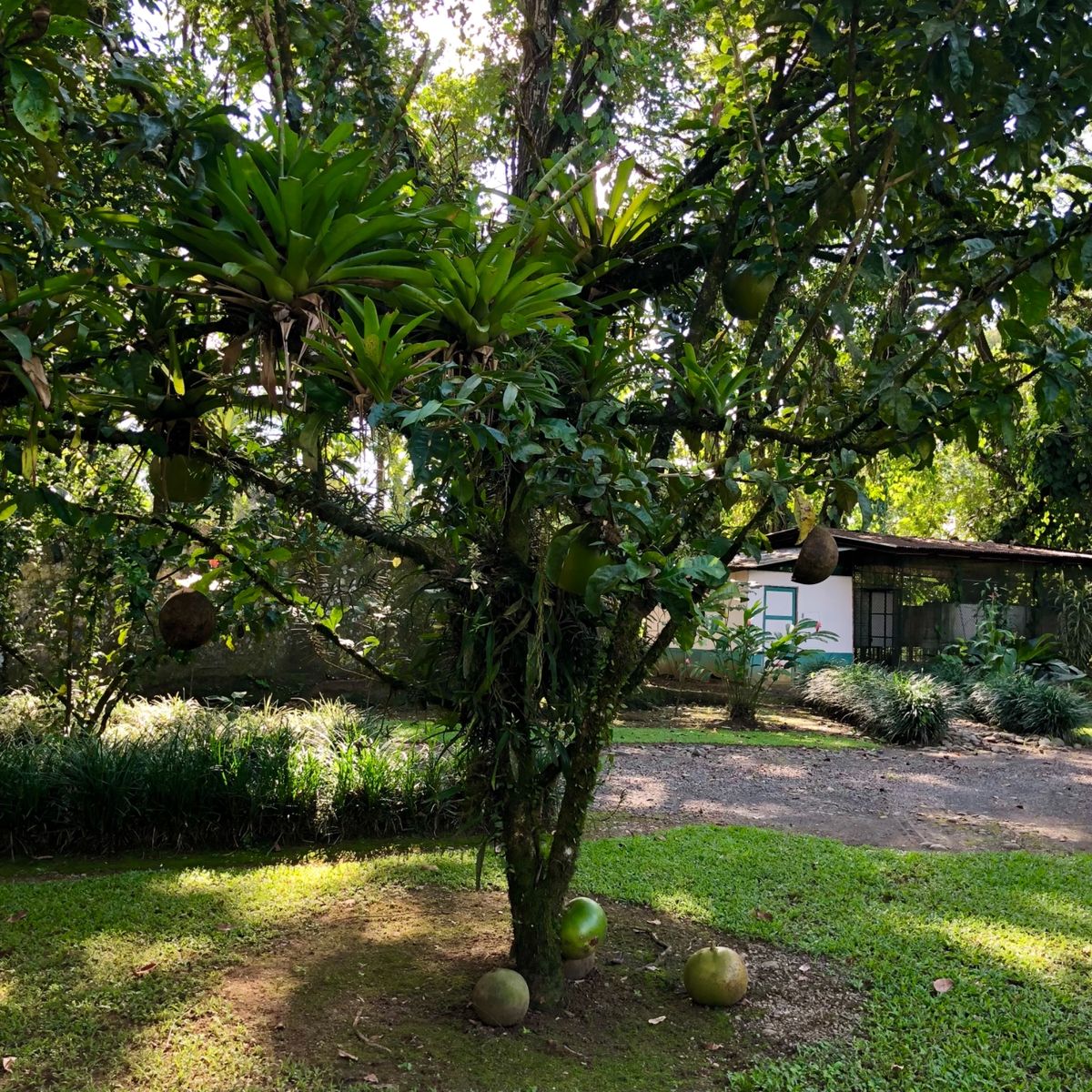 サラピキ川のボートクルーズ
ランチを食べた場所

リス🐿？がいたんだけど
...