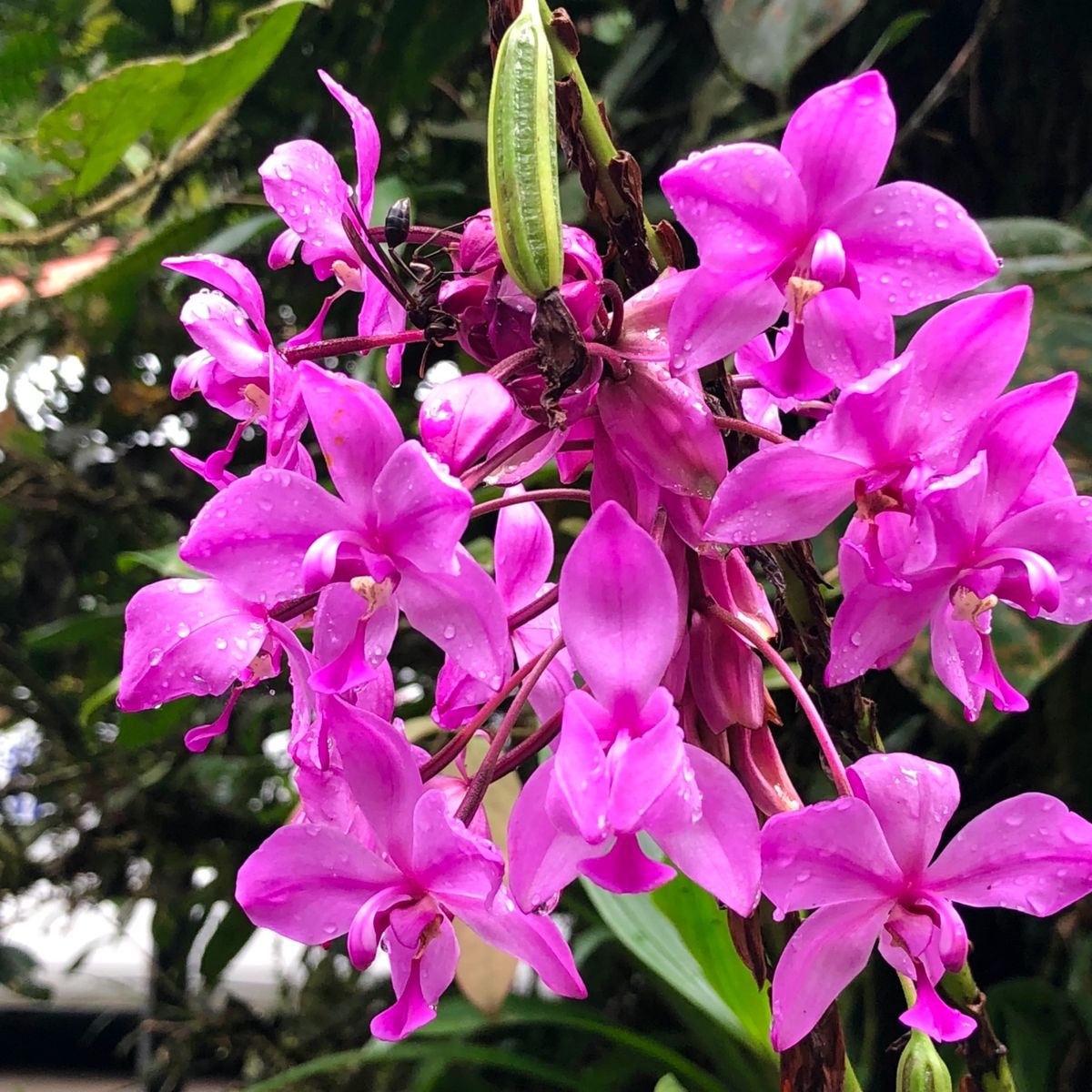 ブラウリオ・カリージョ国立公園

公園内には見たことない植物も
たくさん生えてた