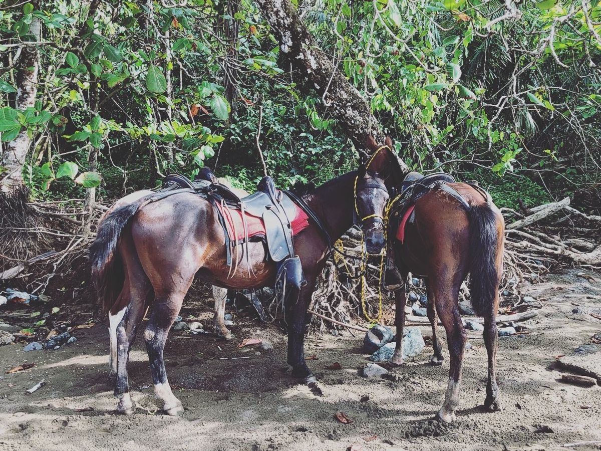 🐴ちゃん達が可愛くて
何枚も写真撮っちゃう

これは折り返し地点で休憩して...