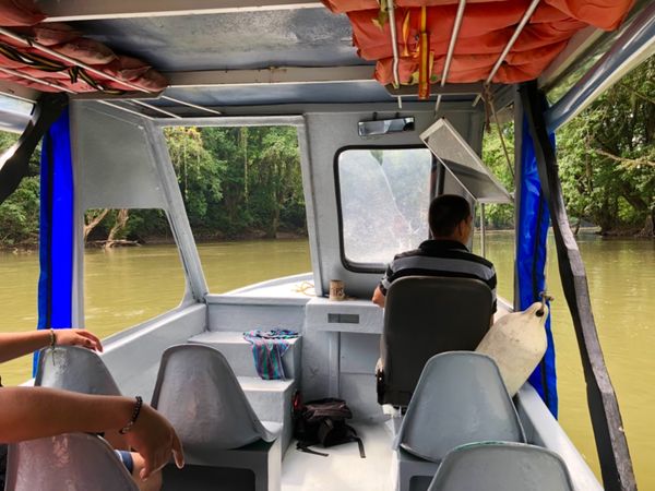 コスタリカ・カルタゴ「動物昆虫自然の宝庫コスタリカ！！」の写真：この日はサラピキ川のボートクルーズへ🚤
...