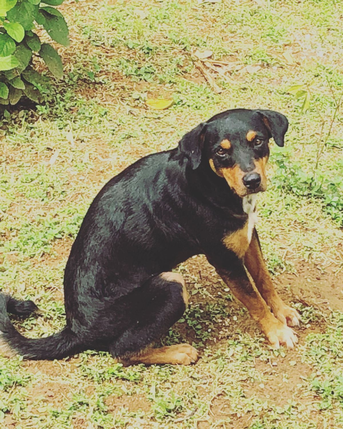 Cocina de Ana

宿から徒歩でいける距離にあるレストラン
お料...