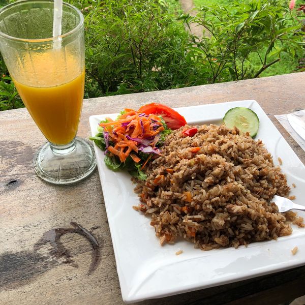 コスタリカ・カルタゴ「動物昆虫自然の宝庫コスタリカ！！」の写真：プラヤ・コロラダ Playa Color...