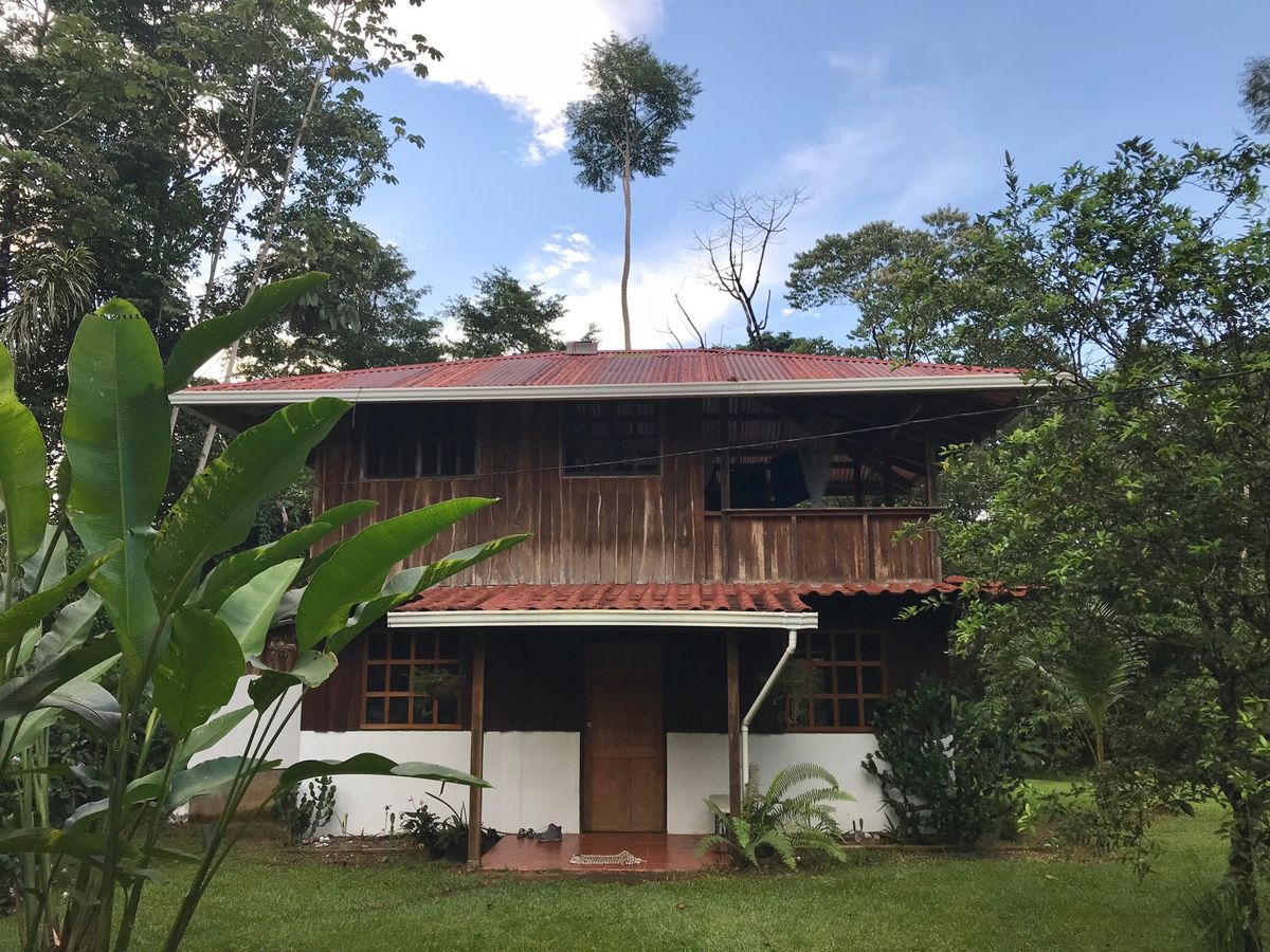 Corcovado Backpackers

宿の庭にトゥーカンが！！🤩
...