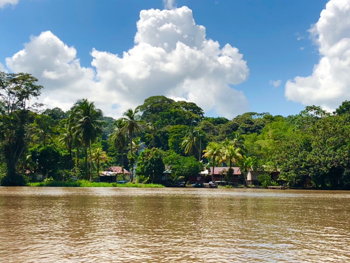 トルトゥゲロ国立公園

ここは２つの川が合流しているところで
水質が違うか...
