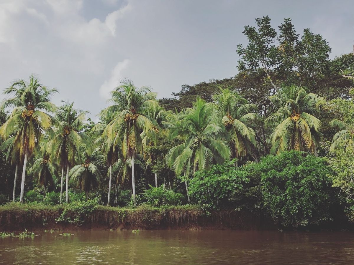 オサ　マングローブツアー

進むと南国感が強くなってきた🌴
鳥もいたよ！