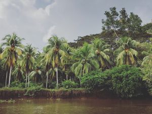 オサ　マングローブツアー

進むと南国感が強くなってきた🌴
鳥もいたよ！