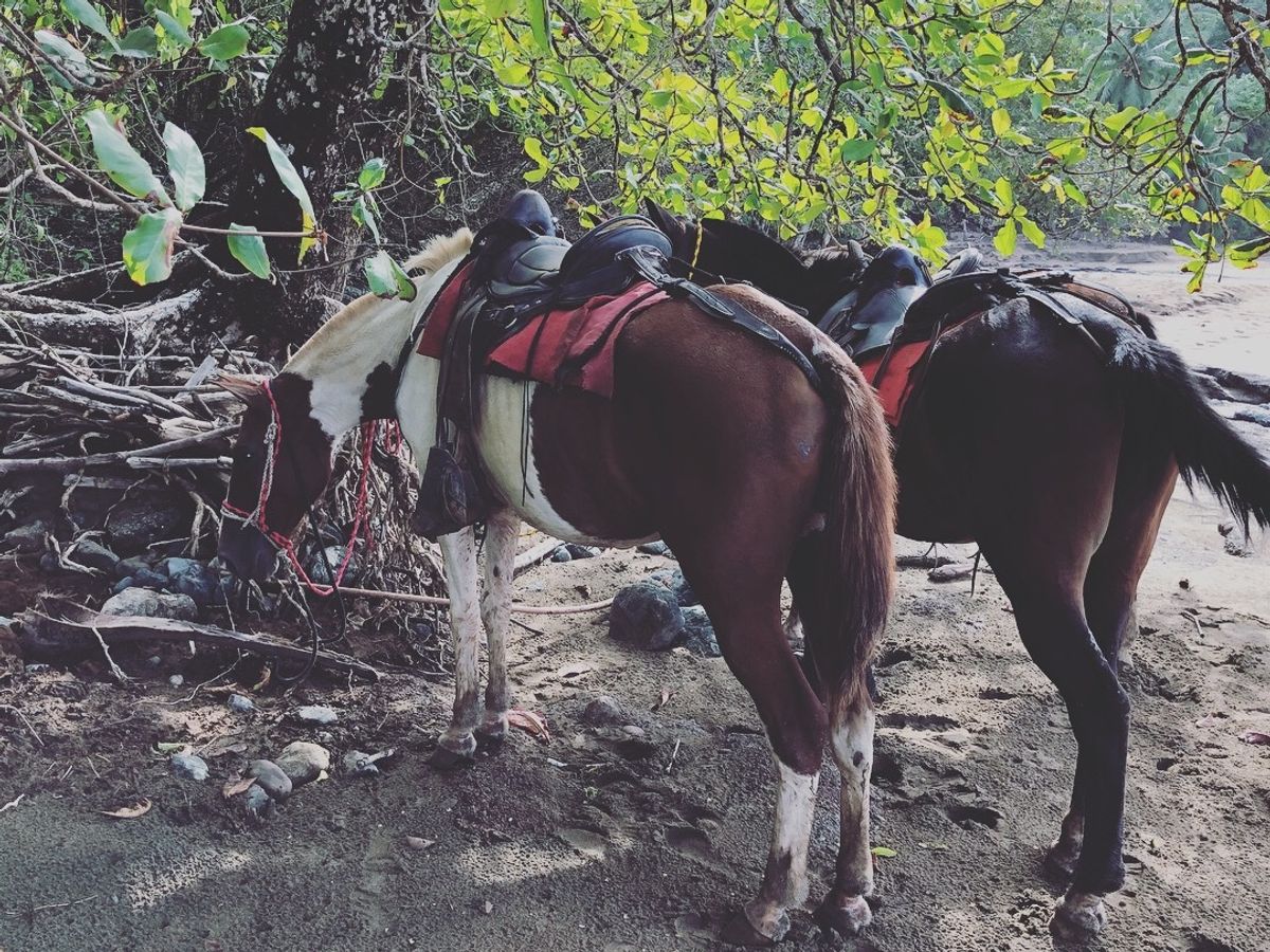 🐴ちゃん達が可愛くて
何枚も写真撮っちゃう

これは折り返し地点で休憩して...