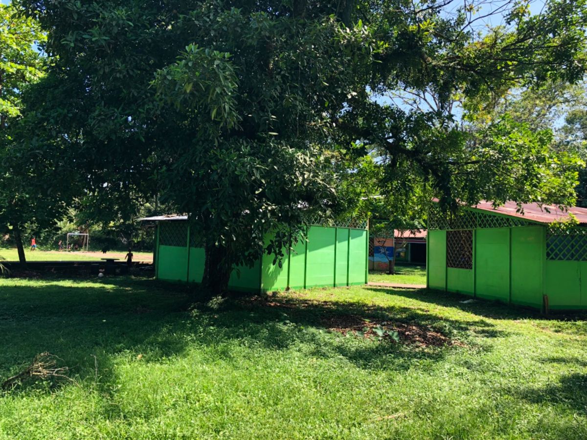トルトゥゲロ国立公園

この緑の建物は小学校みたいで
ちびっこがサッカー⚽...