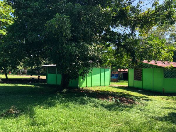 コスタリカ・カルタゴ「動物昆虫自然の宝庫コスタリカ！！」の写真：トルトゥゲロ国立公園

この緑の建物は小...