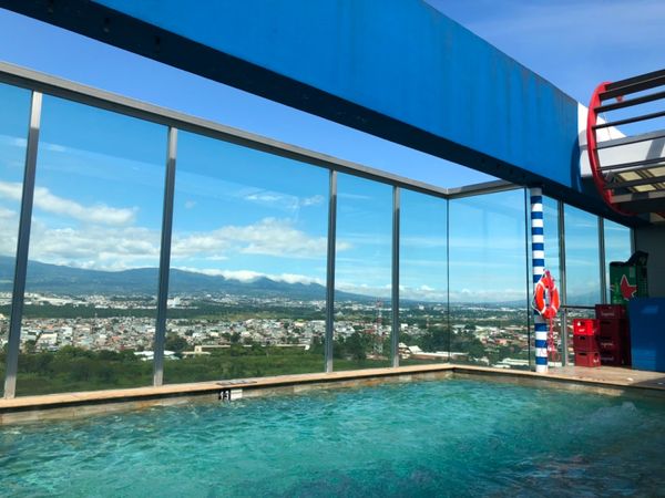 コスタリカ・カルタゴ「動物昆虫自然の宝庫コスタリカ！！」の写真：シェラトン サンホセ ホテル コスタリカ...