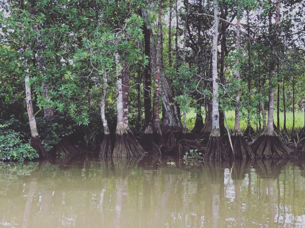 オサ　マングローブツアー

途中で立ち寄った村