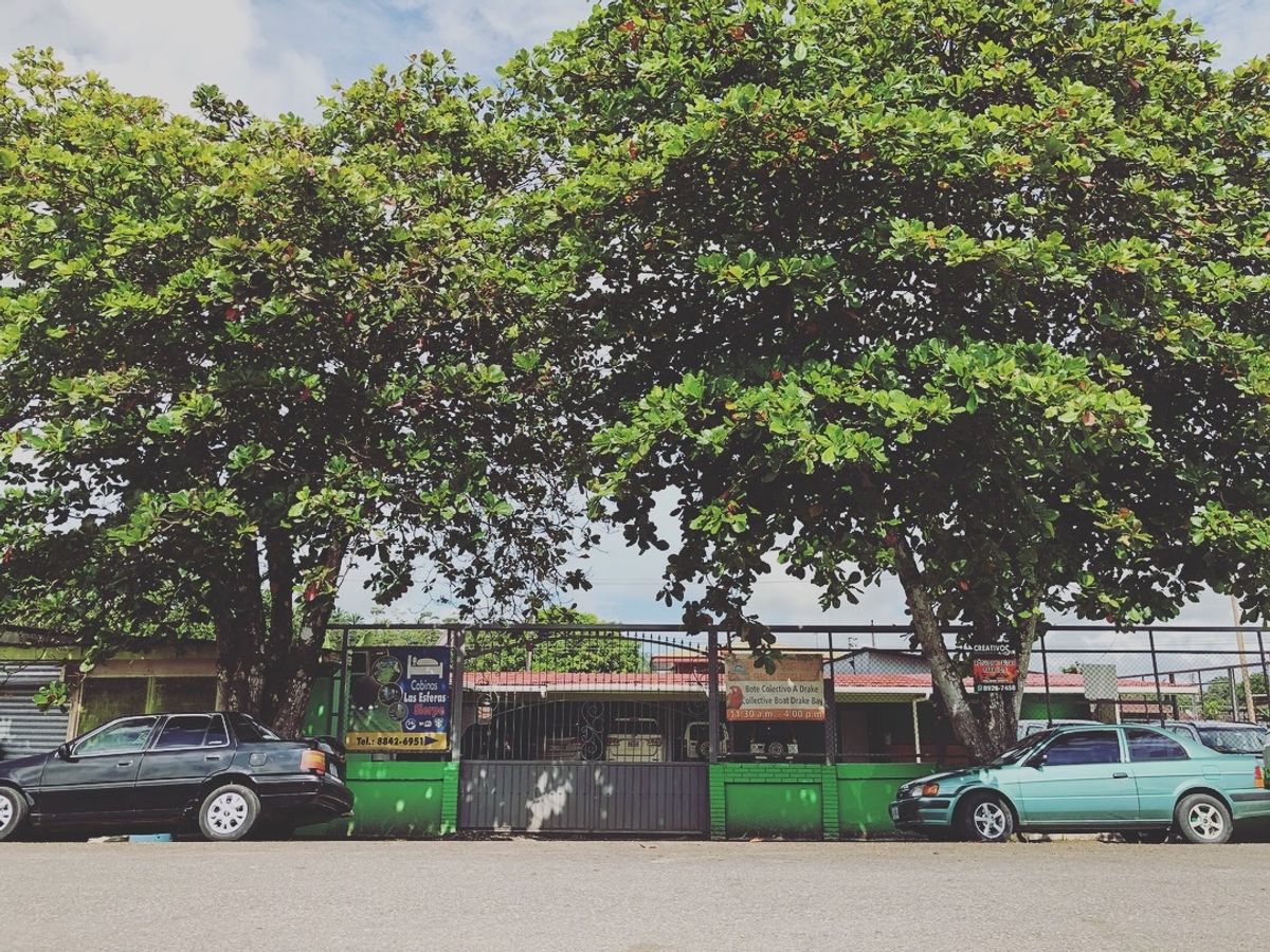 オサ　マングローブツアー

ここで飲んだココナッツジュース
甘くて濃厚で
...