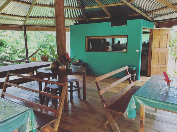 コスタリカ・カルタゴ「動物昆虫自然の宝庫コスタリカ！！」の写真：Cocina de Ana

宿から徒歩...