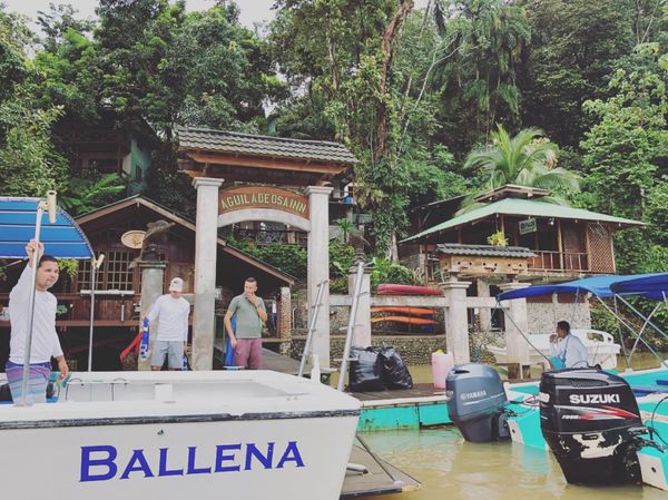 コスタリカ・カルタゴ「動物昆虫自然の宝庫コスタリカ！！」の写真：Aguila de Osa

このホテル...