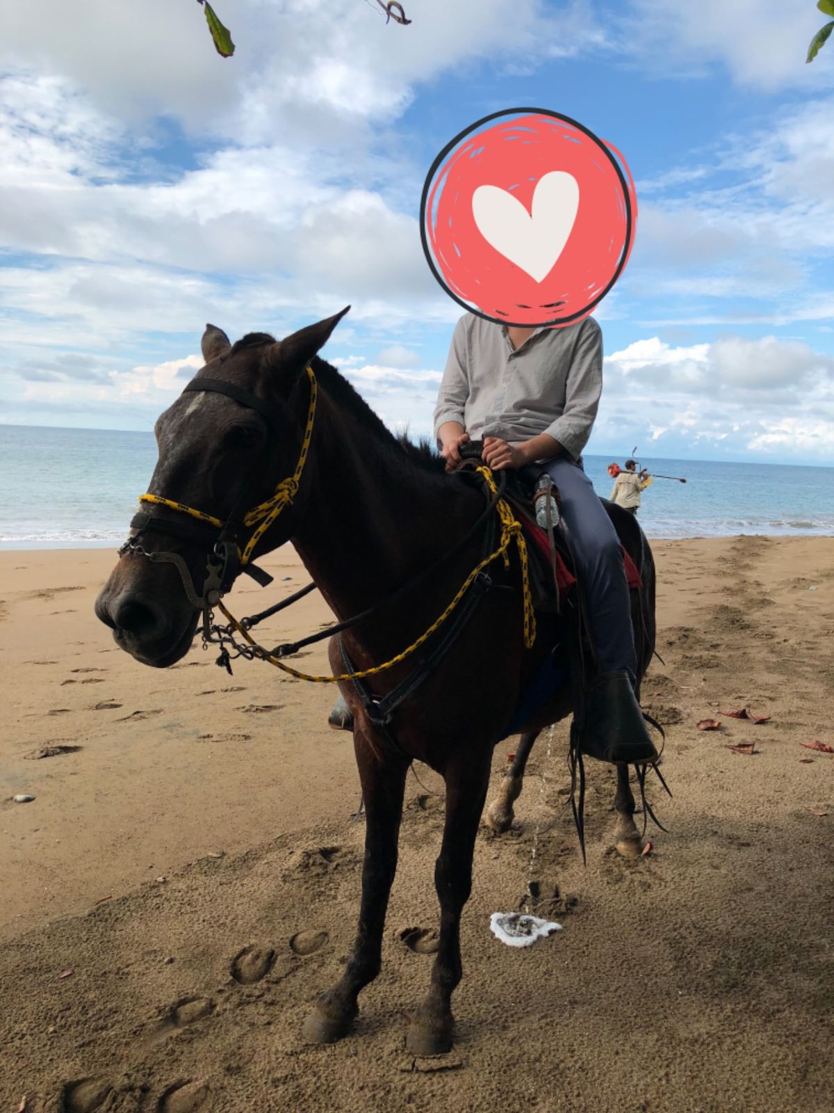 オサ　Drake Trail

レイモンドに
馬に乗ってるところ写真撮って...