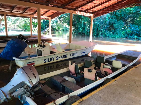 コスタリカ・カルタゴ「動物昆虫自然の宝庫コスタリカ！！」の写真：トルトゥゲロ国立公園

ボートからの眺め