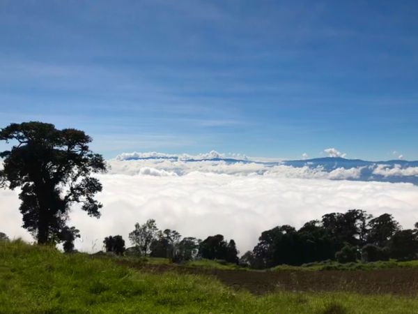 コスタリカ・カルタゴ「動物昆虫自然の宝庫コスタリカ！！」の写真：イラス山

山頂に着く前に雲海を通るんだ...