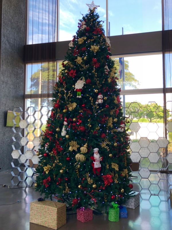 コスタリカ・カルタゴ「動物昆虫自然の宝庫コスタリカ！！」の写真：シェラトン サンホセ ホテル コスタリカ...