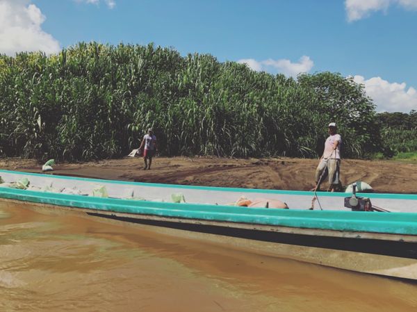 コスタリカ・カルタゴ「動物昆虫自然の宝庫コスタリカ！！」の写真：トルトゥゲロ国立公園

まずはボートで川...