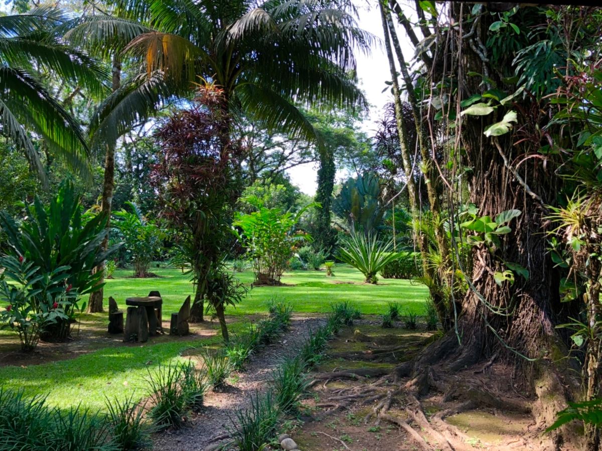 サラピキ川のボートクルーズ
ランチを食べた場所

馬もいたよ🐴