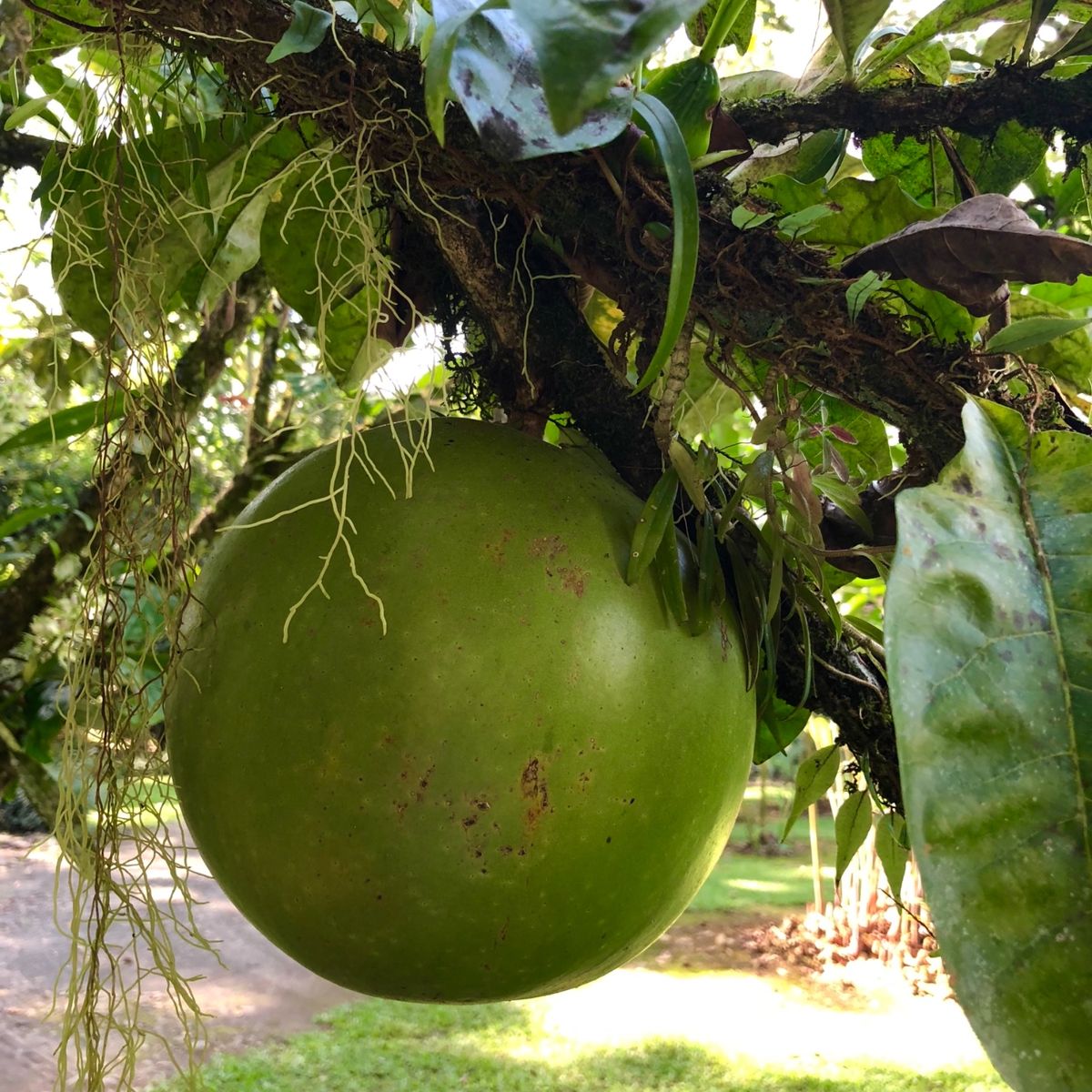 サラピキ川のボートクルーズ
ランチを食べた場所

リス🐿？がいたんだけど
...